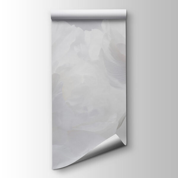 Group of white flowers Group of white flowers