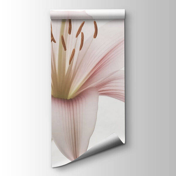 Delicate petals, soft and serene