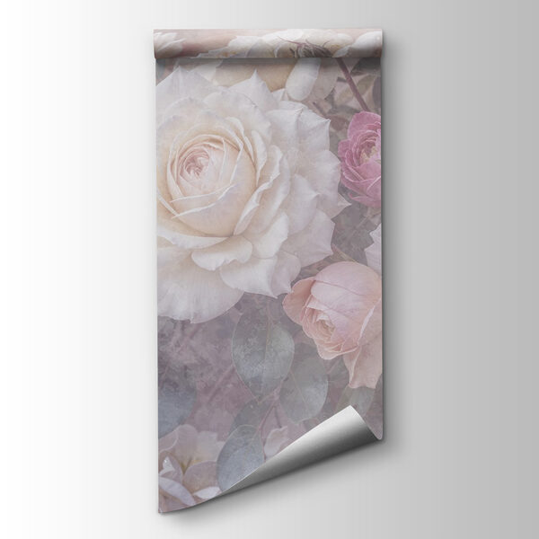 Group of white and pink roses