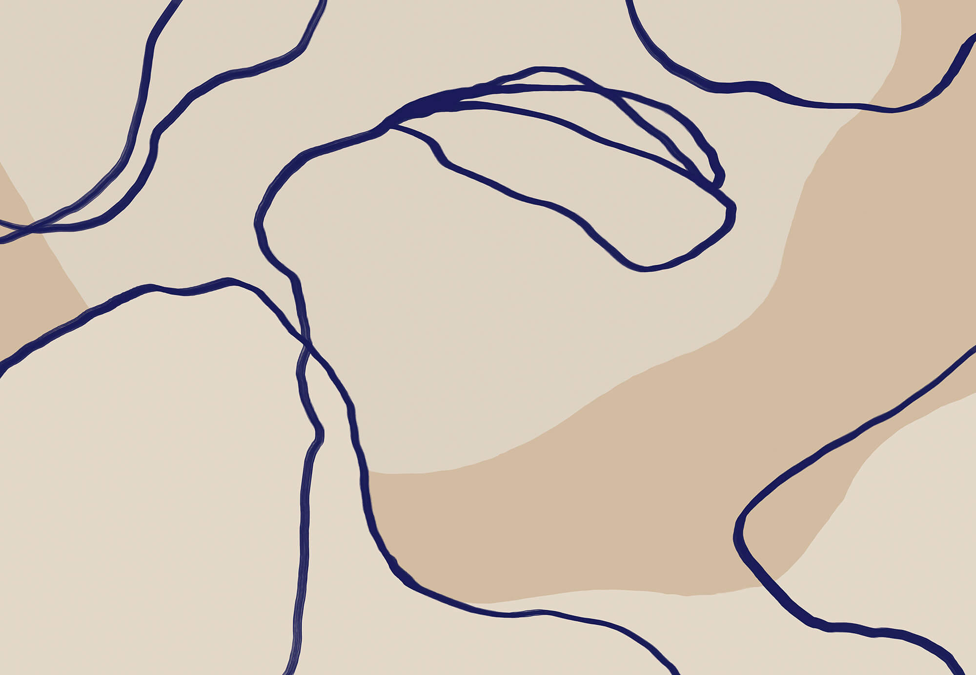 Flowing Lines on Soft Background