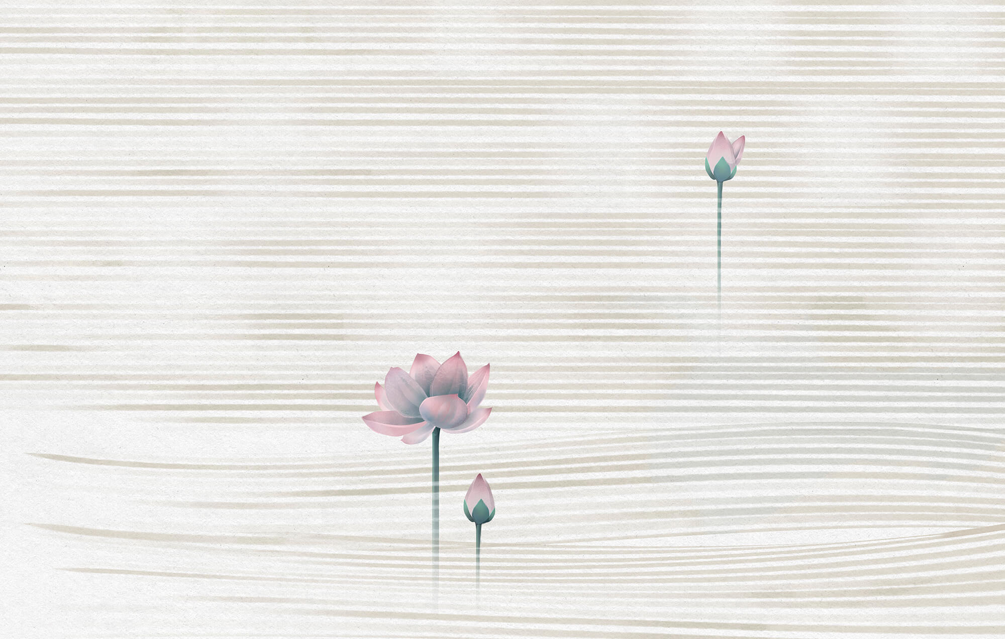 Serene blooms on gentle waves