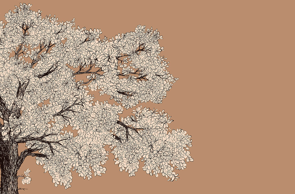 Tree with white flowers Tree with white flowers