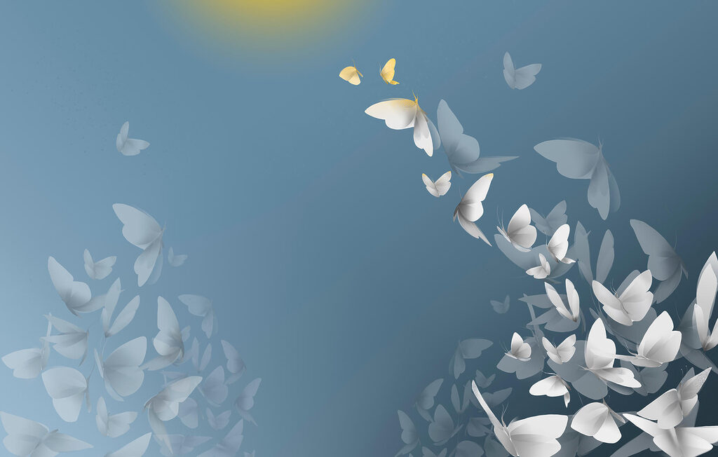 Group of butterflies flying in the sky Group of butterflies flying in the sky