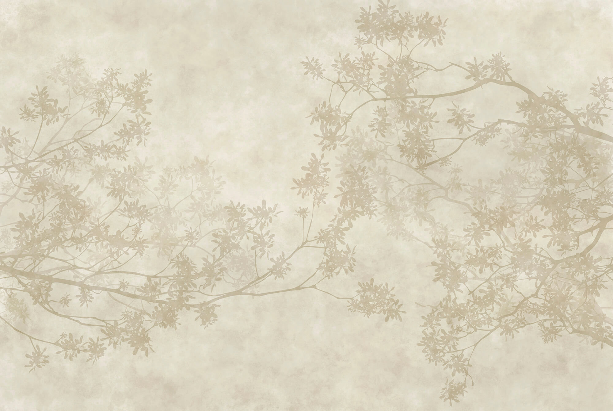 Tree branches with leaves Tree branches with leaves