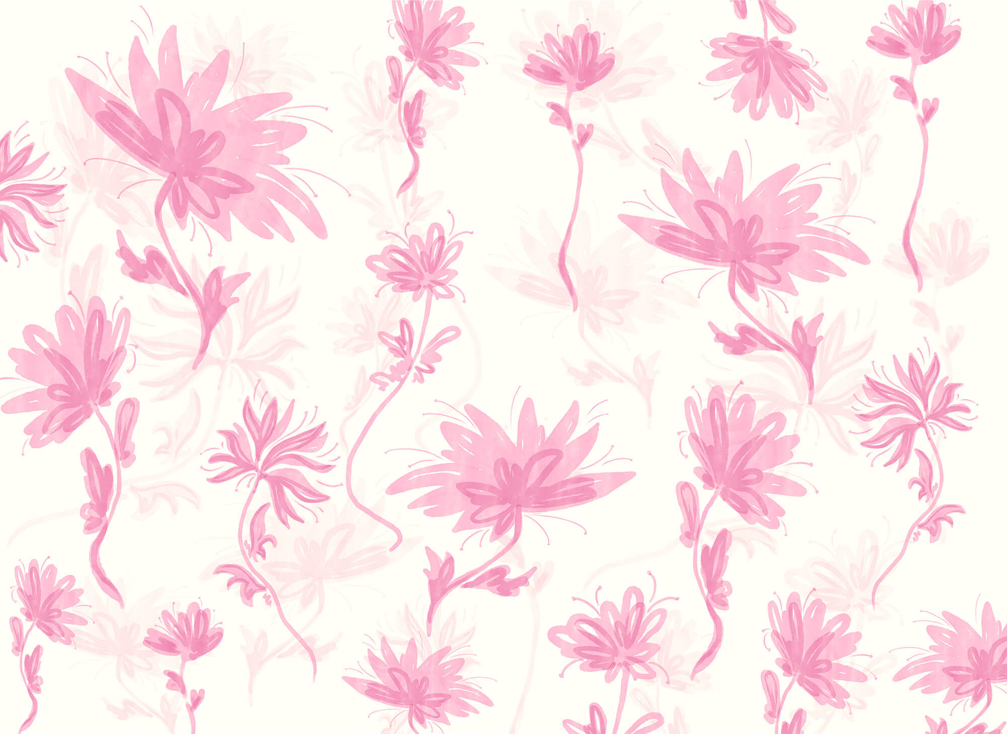 Pink flowers on a white background Pink flowers on a white background