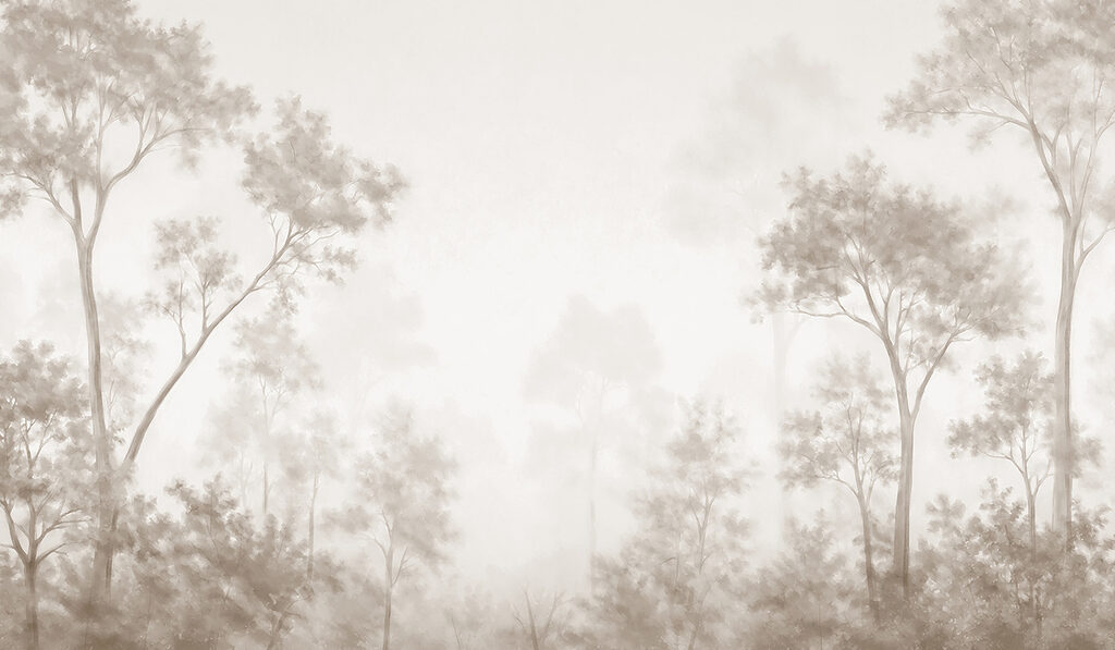 Foggy forest with trees