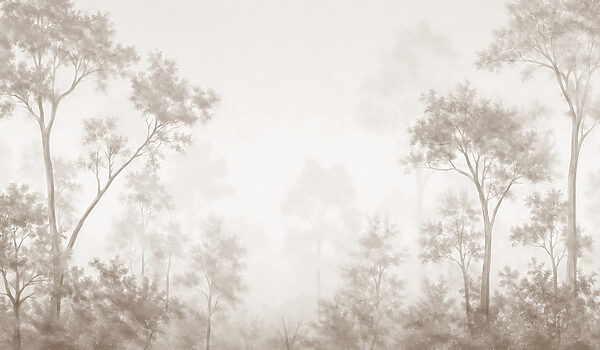 Foggy forest with trees