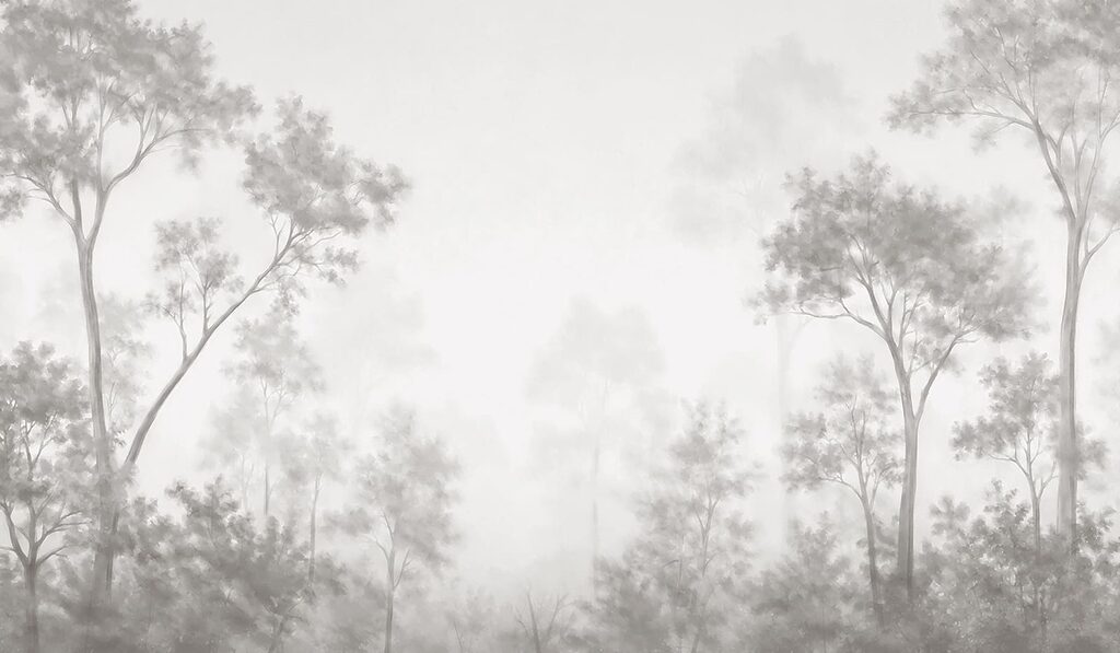 Foggy forest with trees Foggy forest with trees