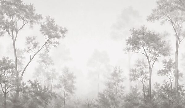Foggy forest with trees Foggy forest with trees