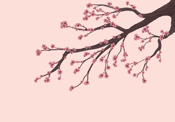 Tree branch with pink flowers