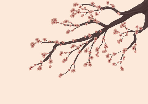 Tree branch with pink flowers Tree branch with pink flowers