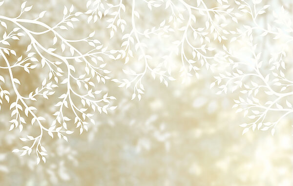 White branches with leaves