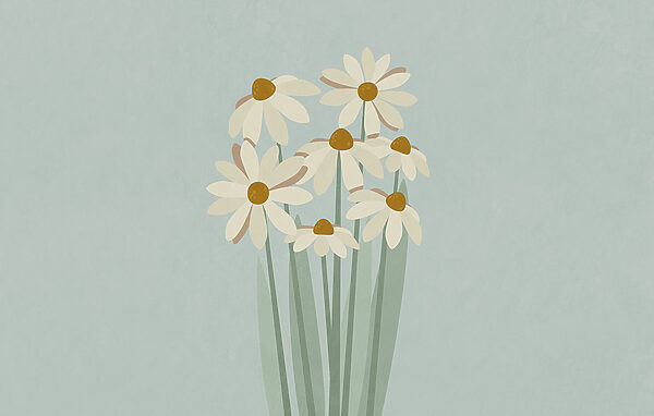 Bunch of white flowers