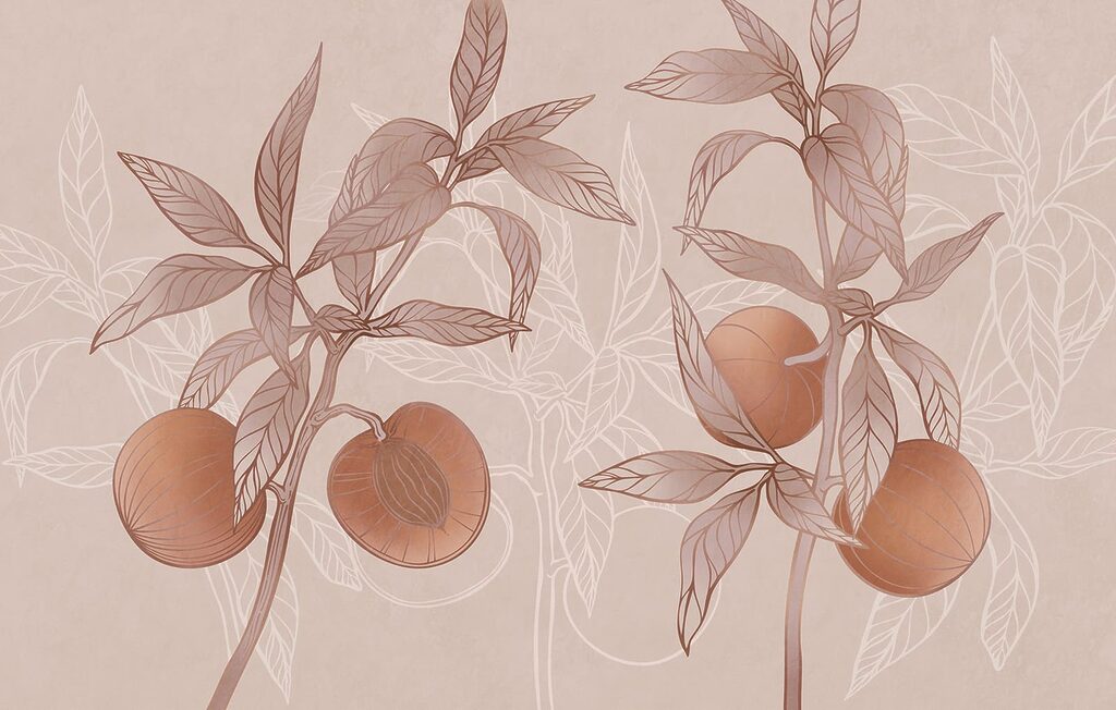 Plant with fruit and leaves Plant with fruit and leaves