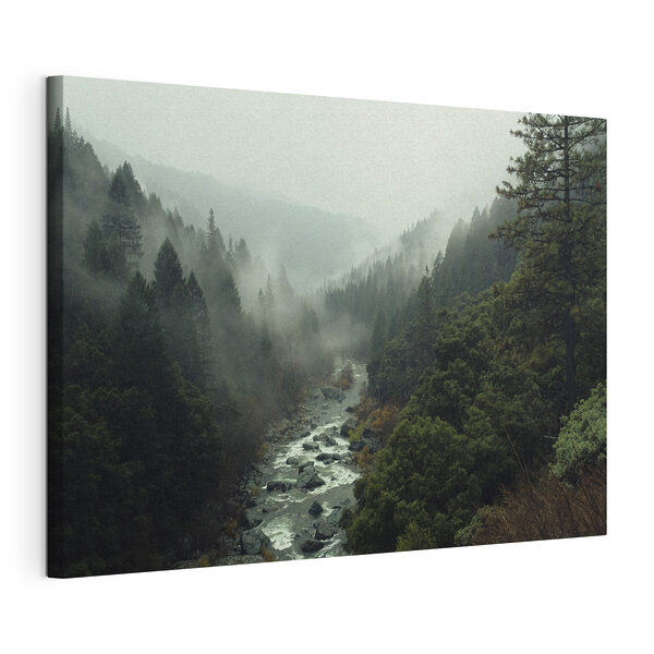 Quadri Quadri Un fiume che scorre attraverso una foresta (COD: s33760)