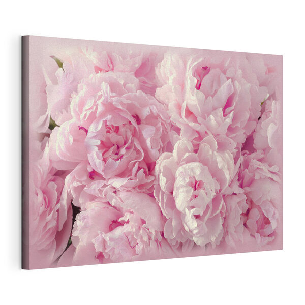 Quadri Un mazzo di fiori rosa