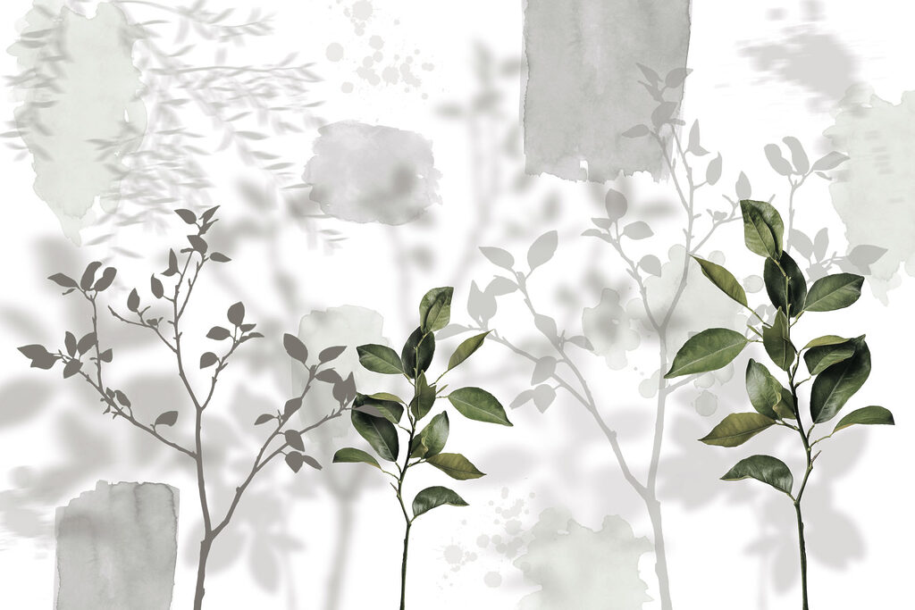 Group of leaves and branches