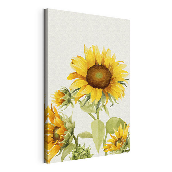 Un primo piano di un girasole Quadri Un primo piano di un girasole