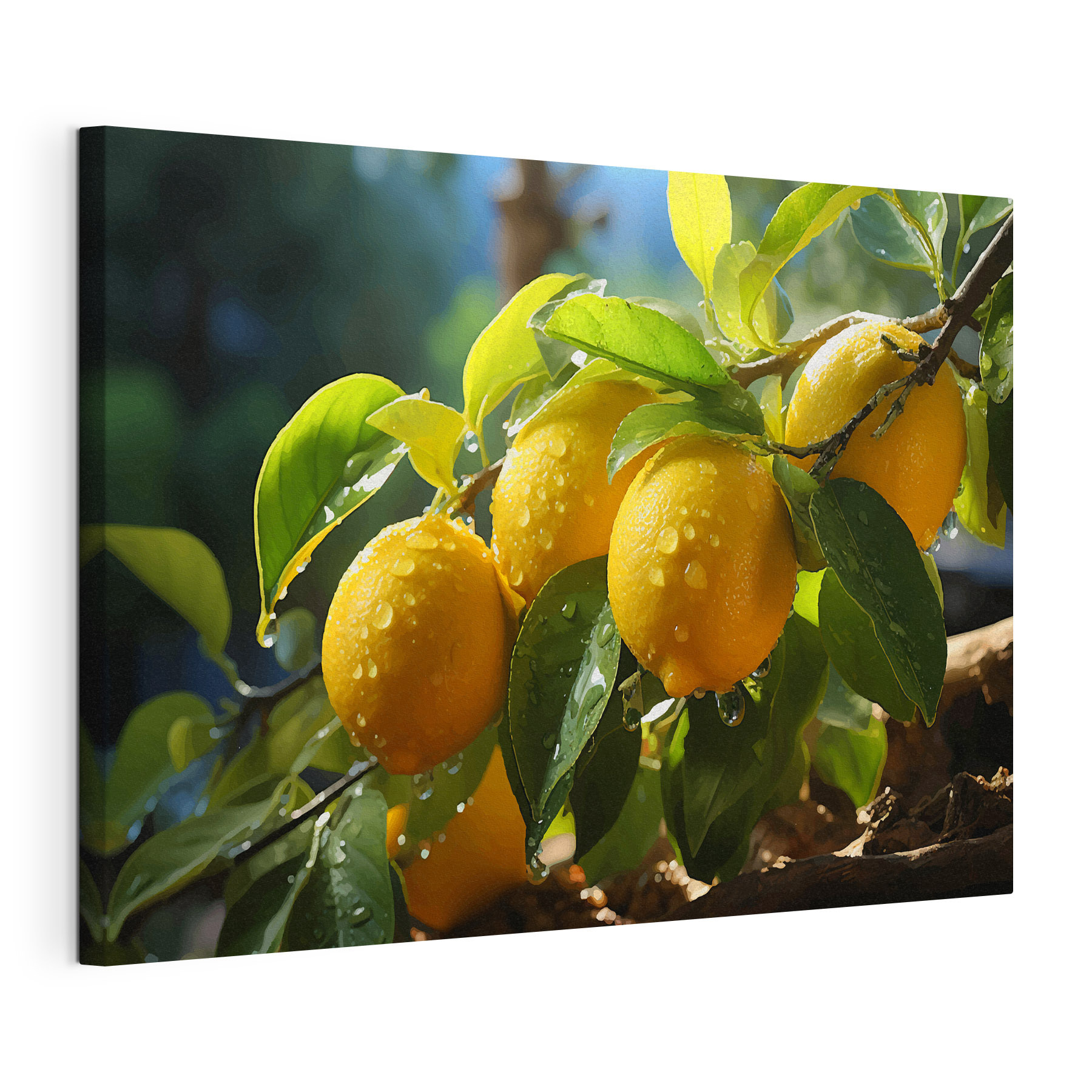 Group of lemons on a tree Group of lemons on a tree