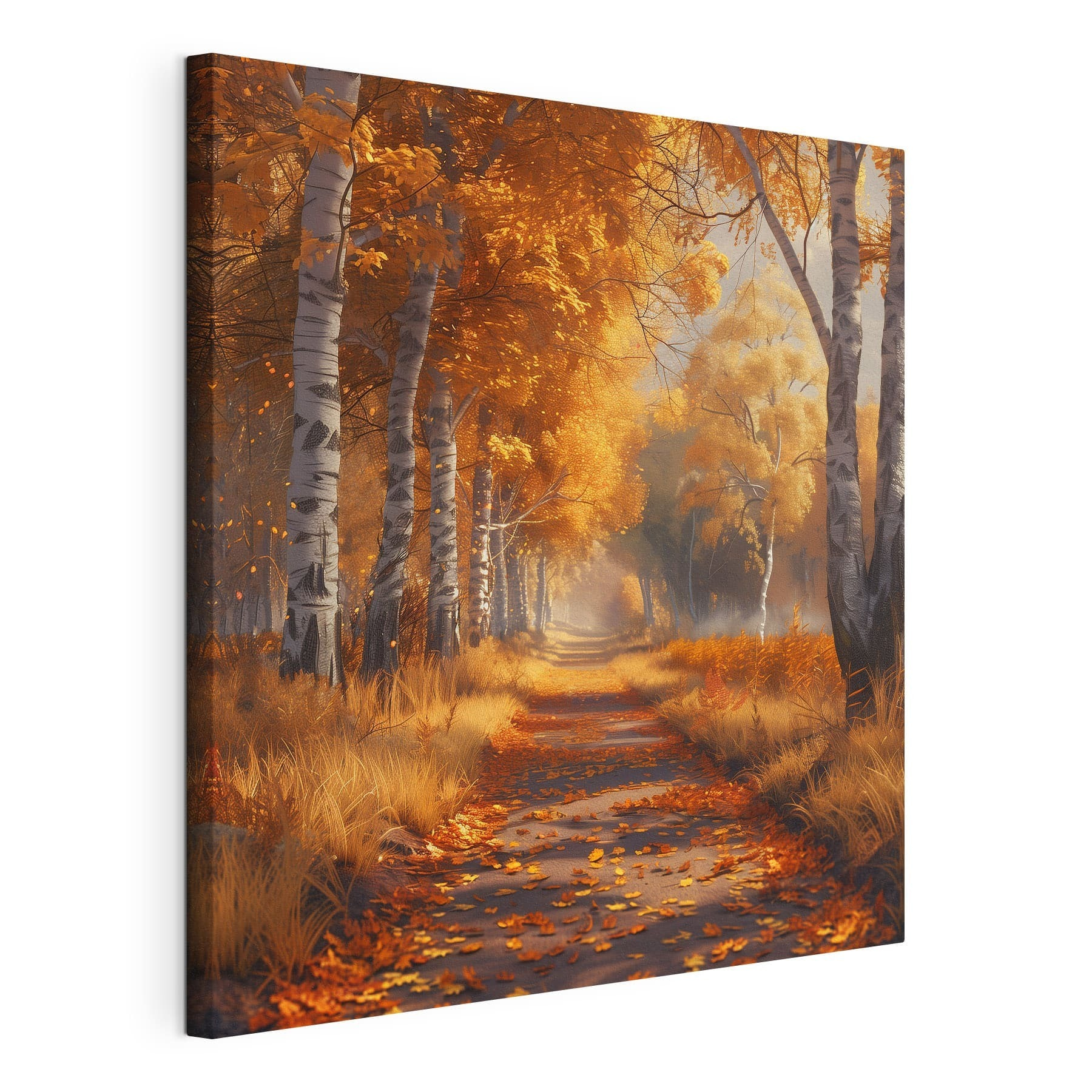 Path with orange leaves on it Path with orange leaves on it