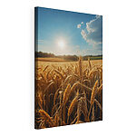 Campo di grano con il sole che splende sullo sfondo Quadri Campo di grano con il sole che splende sullo sfondo