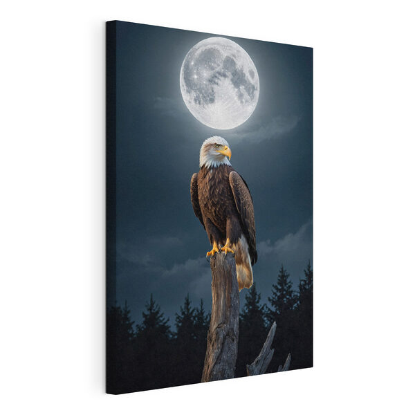 Quadri Quadri Un'aquila calva su un palo con la luna piena sullo sfondo (COD: s41043)