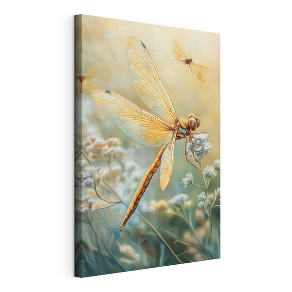 Libellula su un fiore Quadri Libellula su un fiore