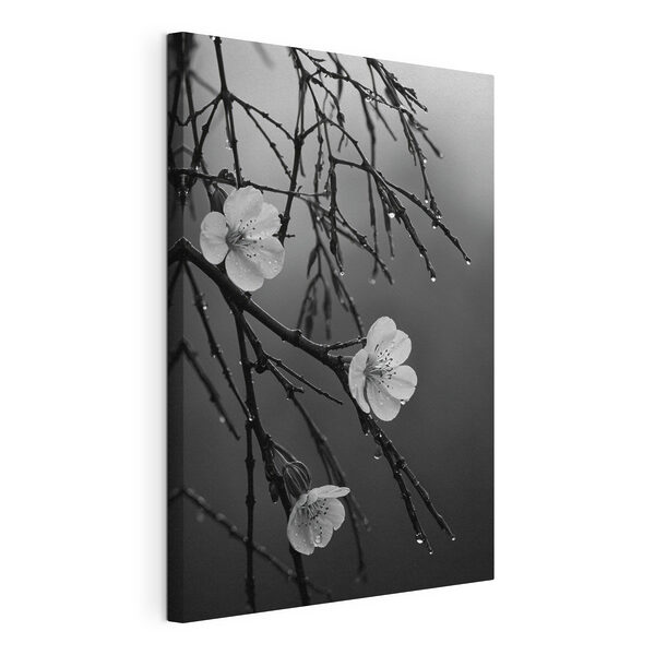 Quadri Quadri Fiori delicati sotto una pioggia leggera (COD: s44098)