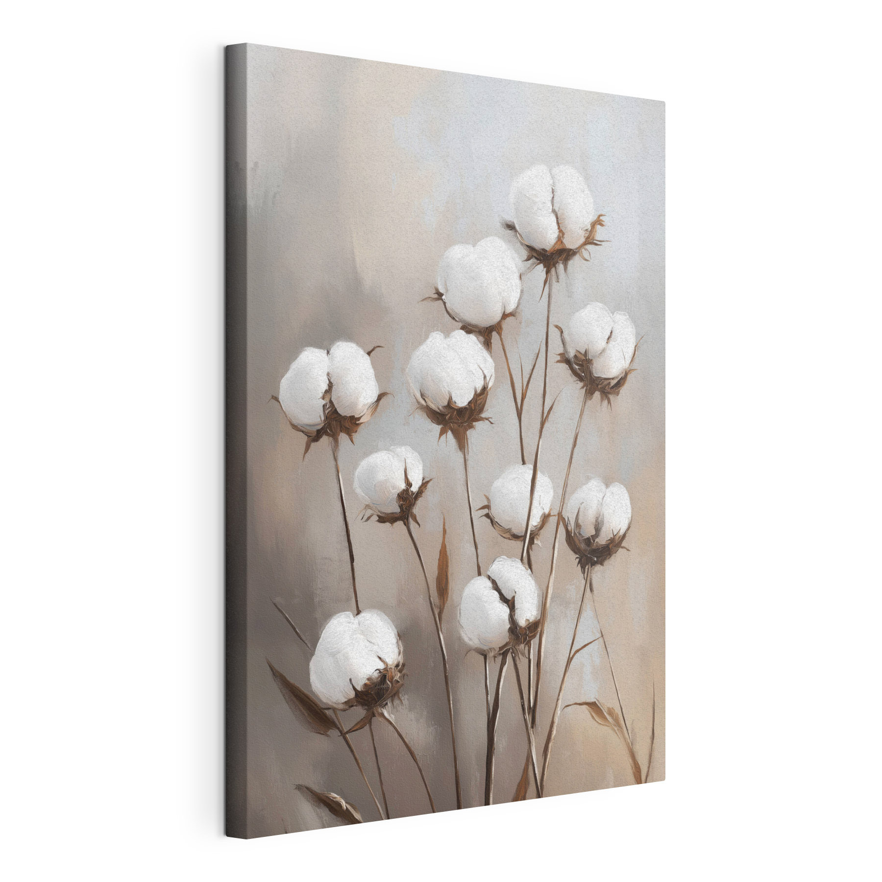 Cotton blooms in gentle elegance