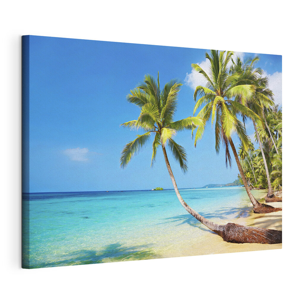Palm trees on a beach Palm trees on a beach