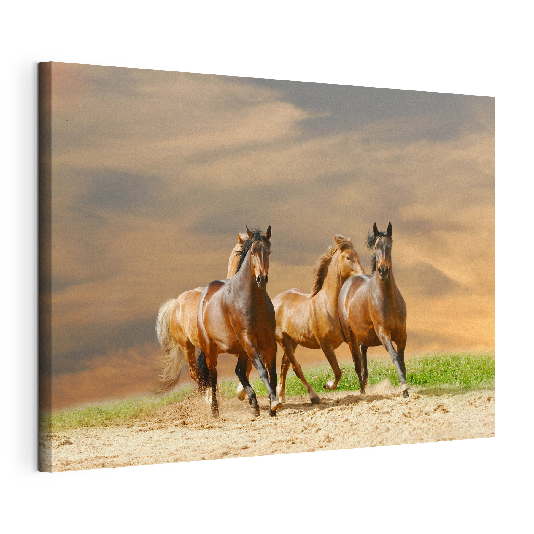 A group of horses running on a dirt road A group of horses running on a dirt road