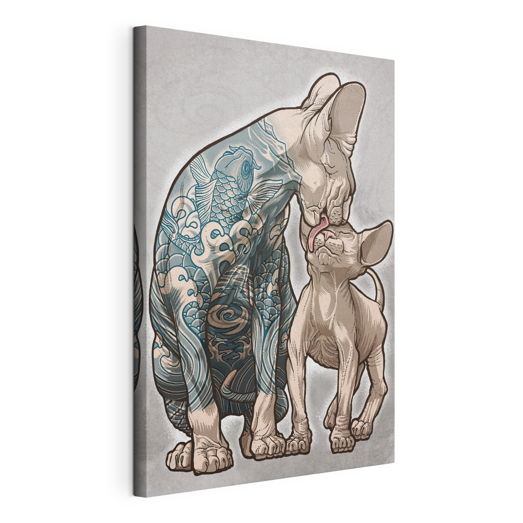 A cat licking a hairless cat A cat licking a hairless cat
