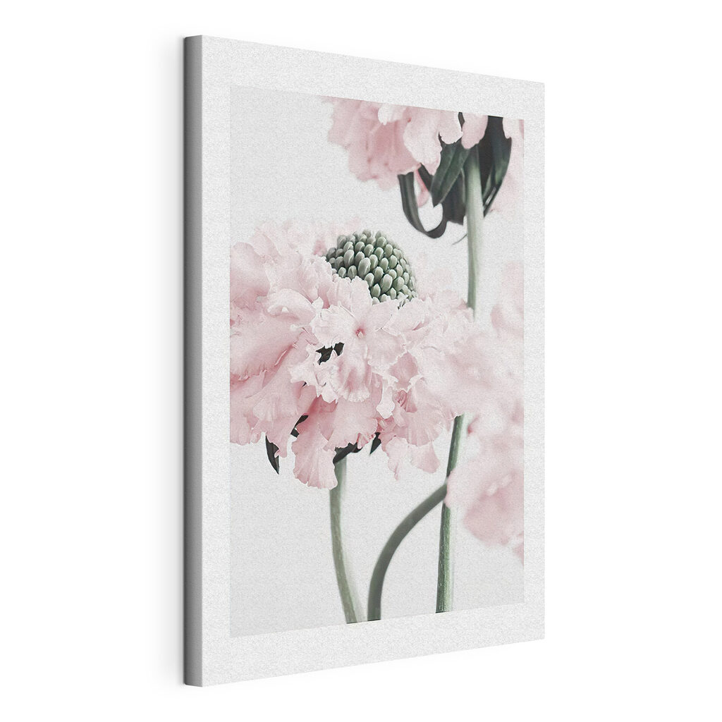 Delicate petals in soft hues Delicate petals in soft hues
