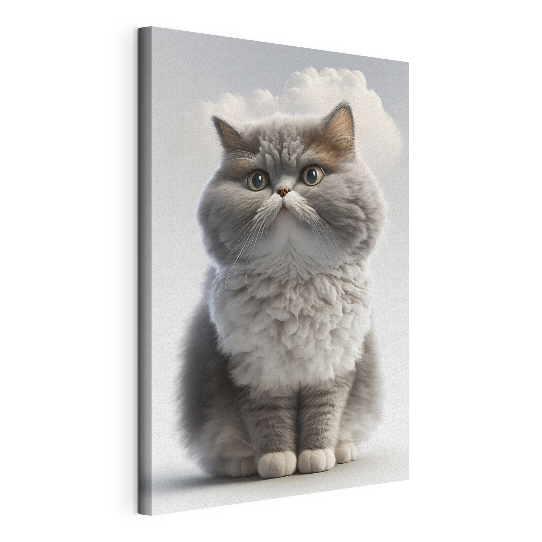 A cat looking at the camera