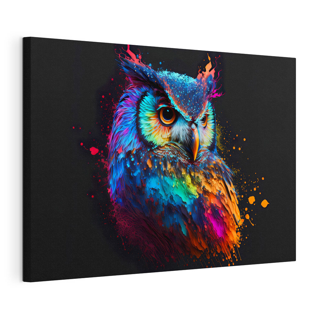 A colorful owl with paint splatters A colorful owl with paint splatters