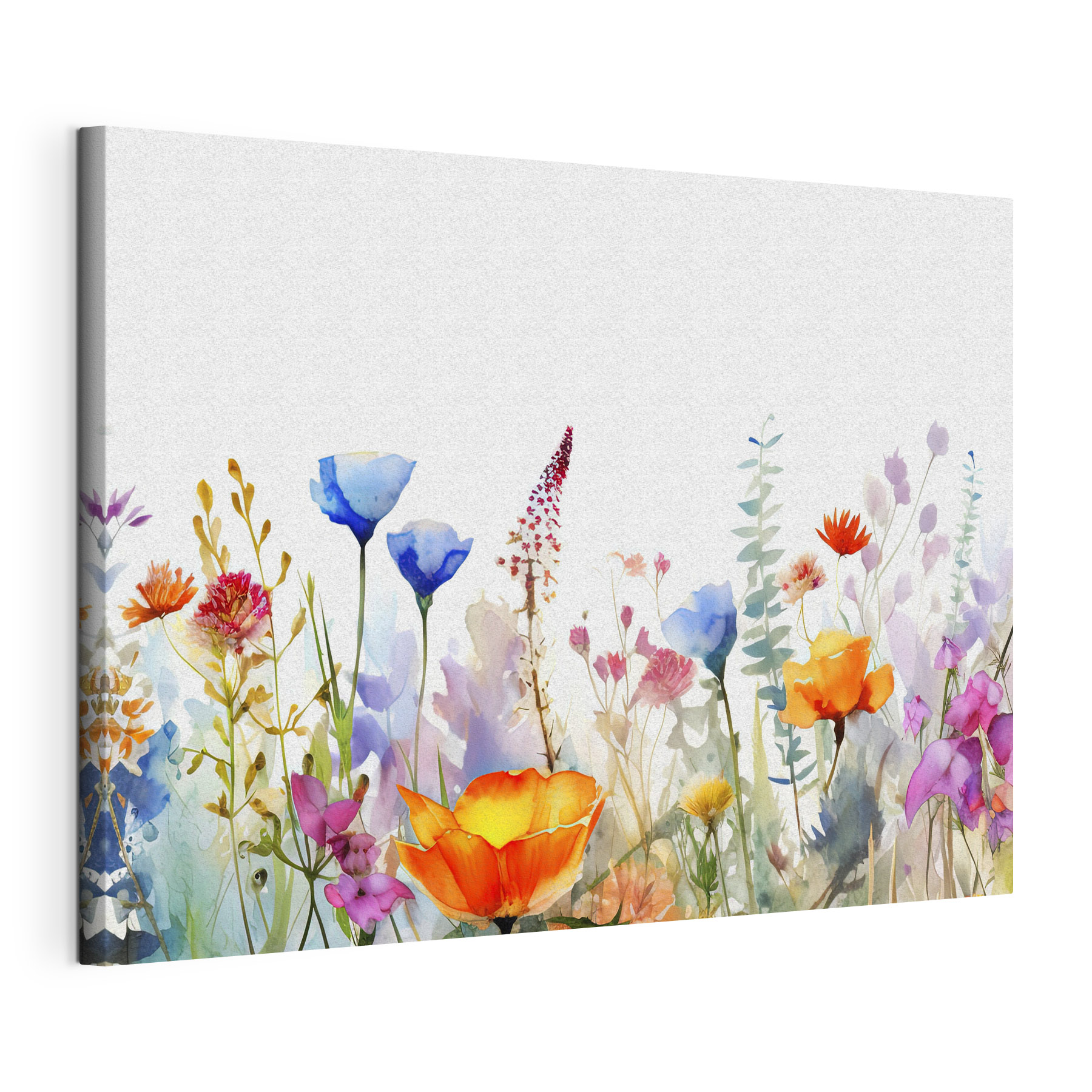 Watercolor of flowers Watercolor of flowers
