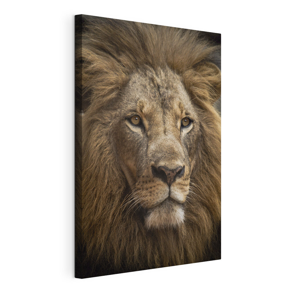 Majestic lion with captivating gaze