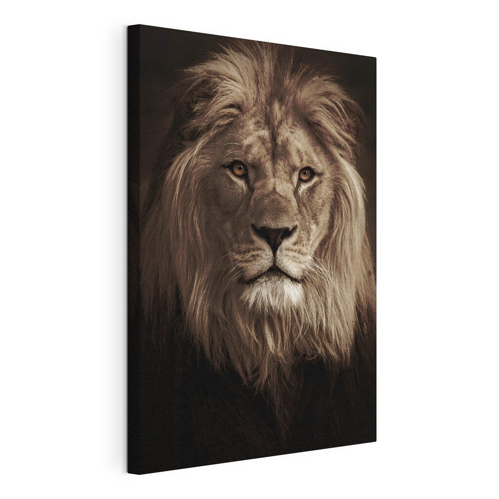 A lion with long mane A lion with long mane