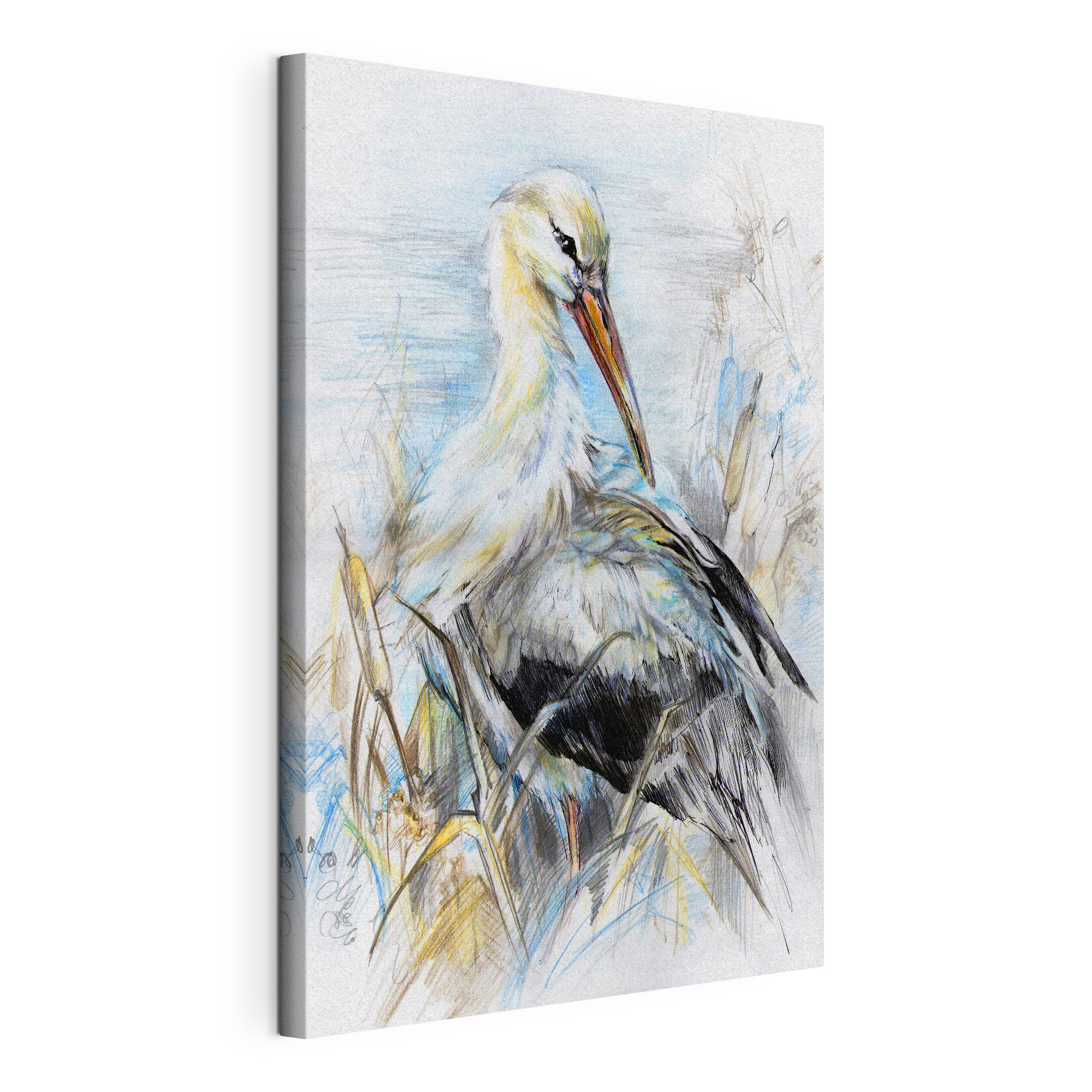 Drawing of a bird Drawing of a bird