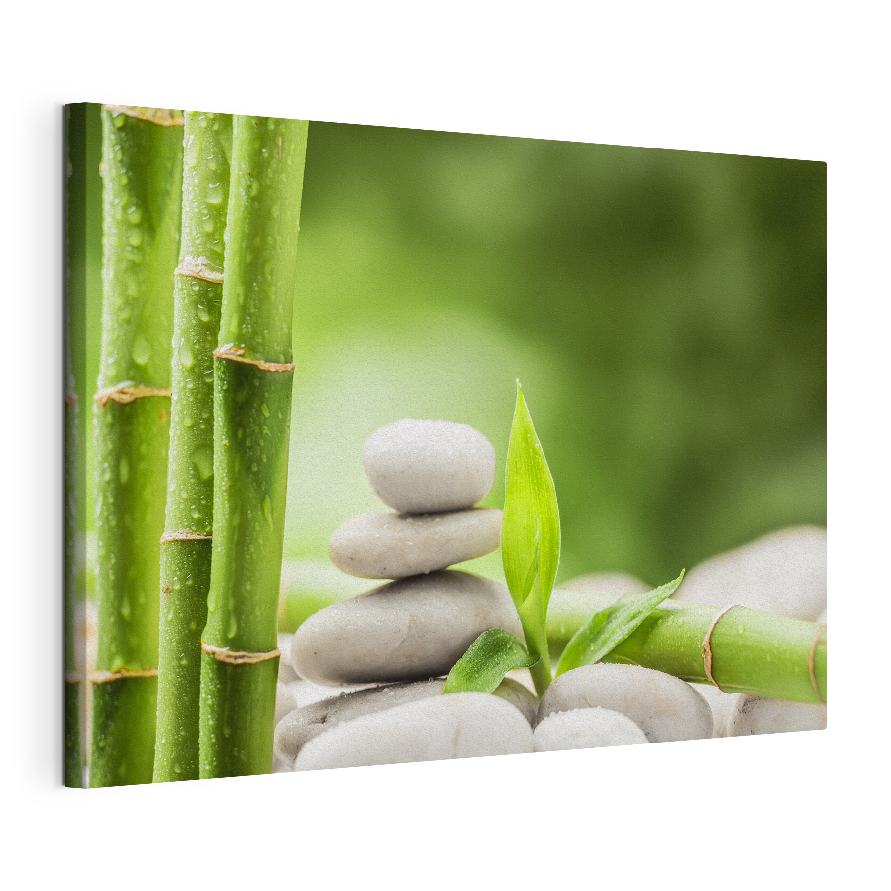 Stack of rocks and bamboo