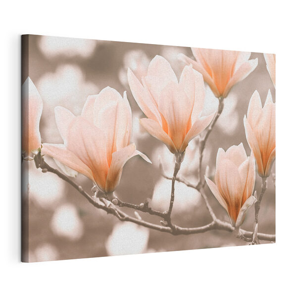 Quadri Un mazzo di fiori su un ramo (COD: s35232) Quadri Quadri Un mazzo di fiori su un ramo (COD: s35232)