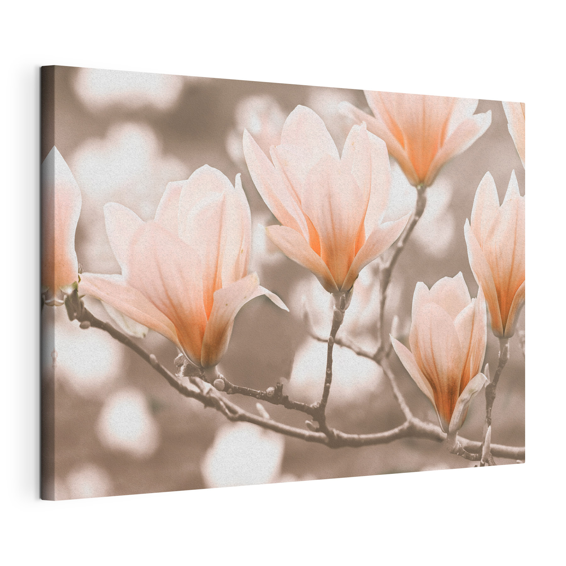 A group of flowers on a branch A group of flowers on a branch