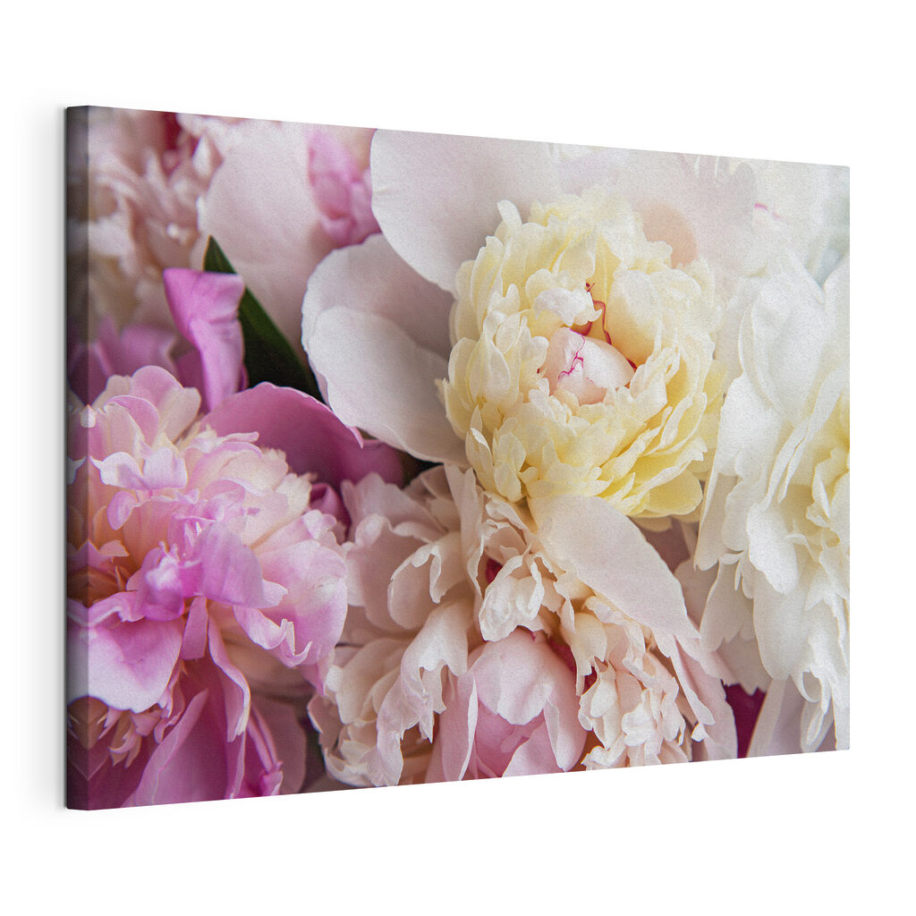 Delicate blooms in soft pastel shades