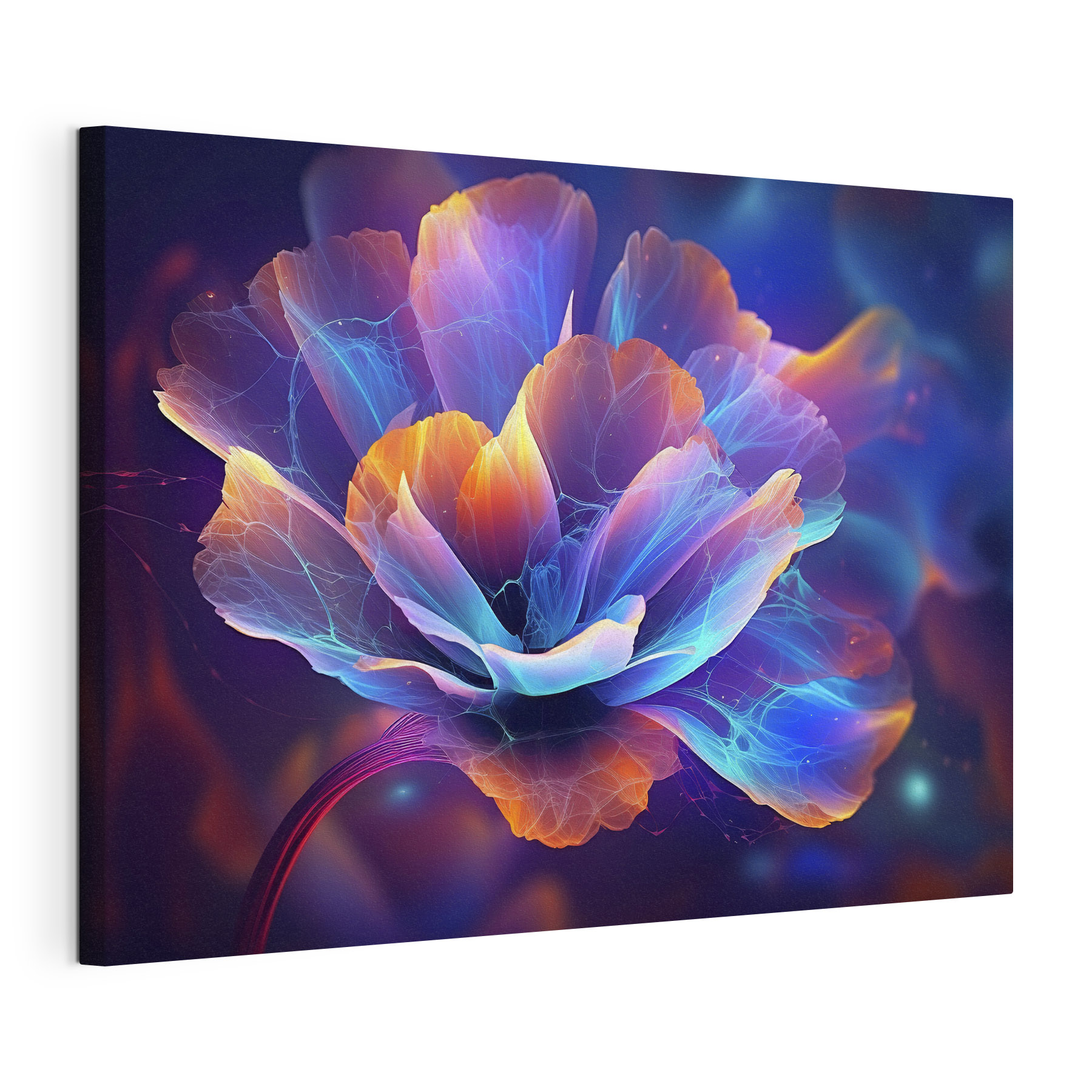 A flower with colorful petals