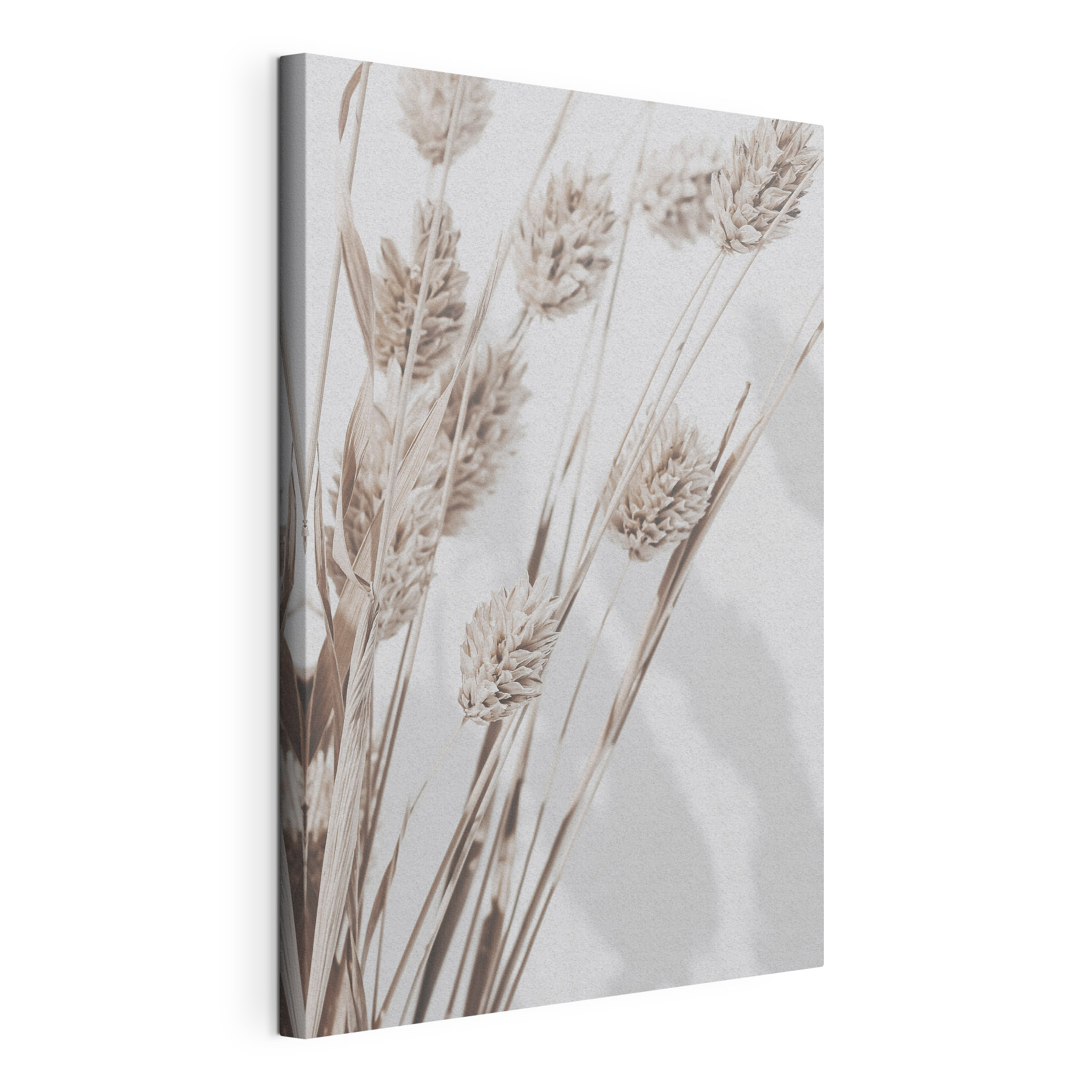 Dried grasses create a calming atmosphere Dried grasses create a calming atmosphere