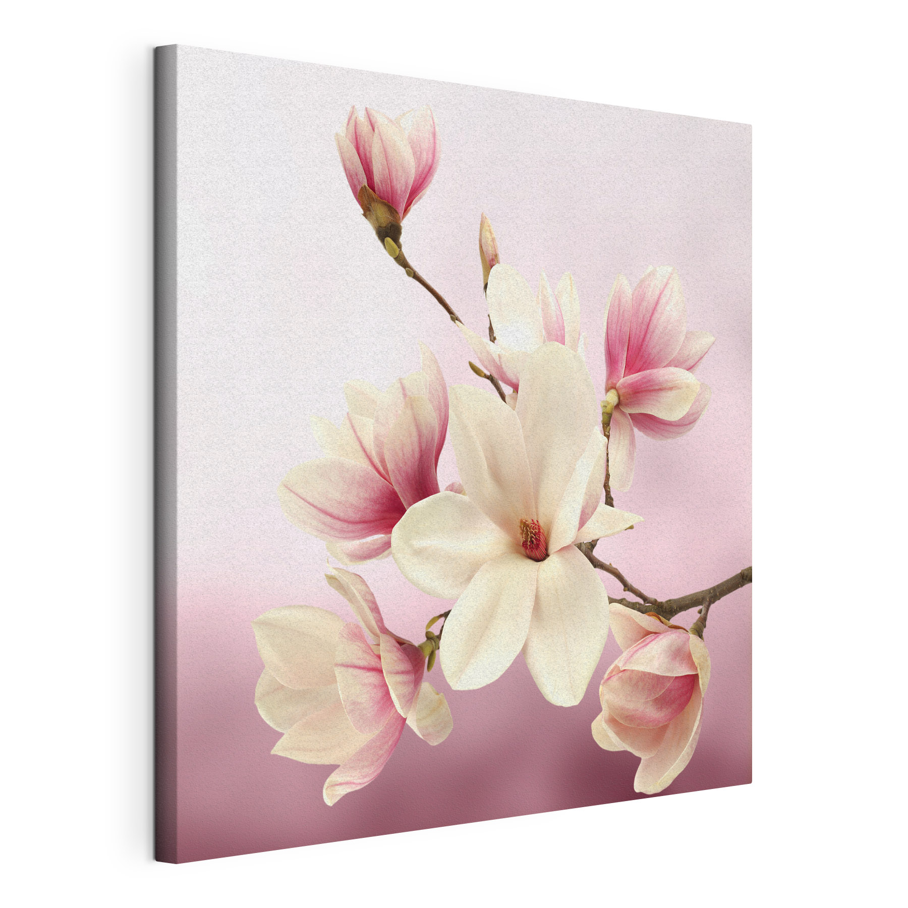 Spring Whispers in Blush Tones Spring Whispers in Blush Tones