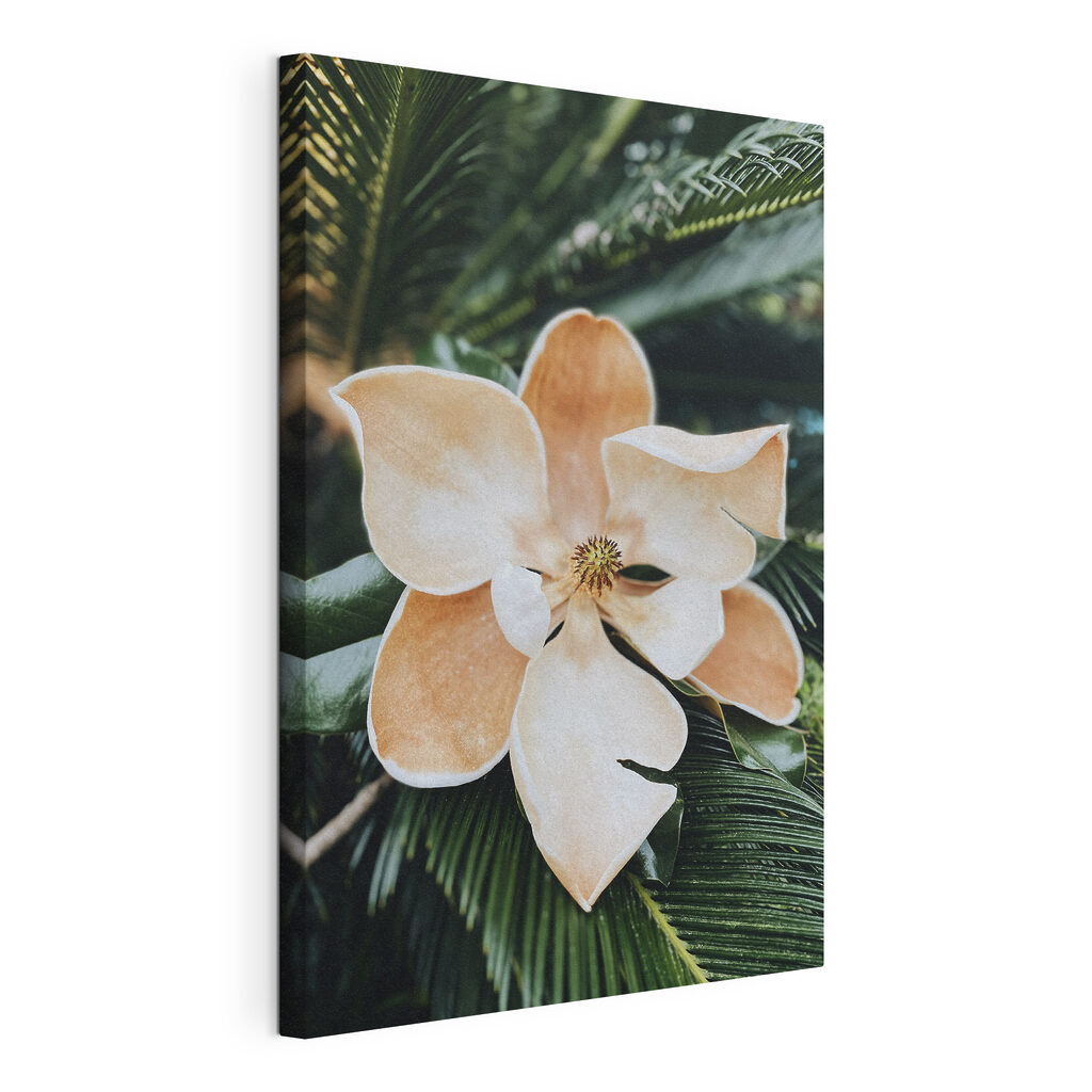 Tropical bloom in lush greenery Tropical bloom in lush greenery