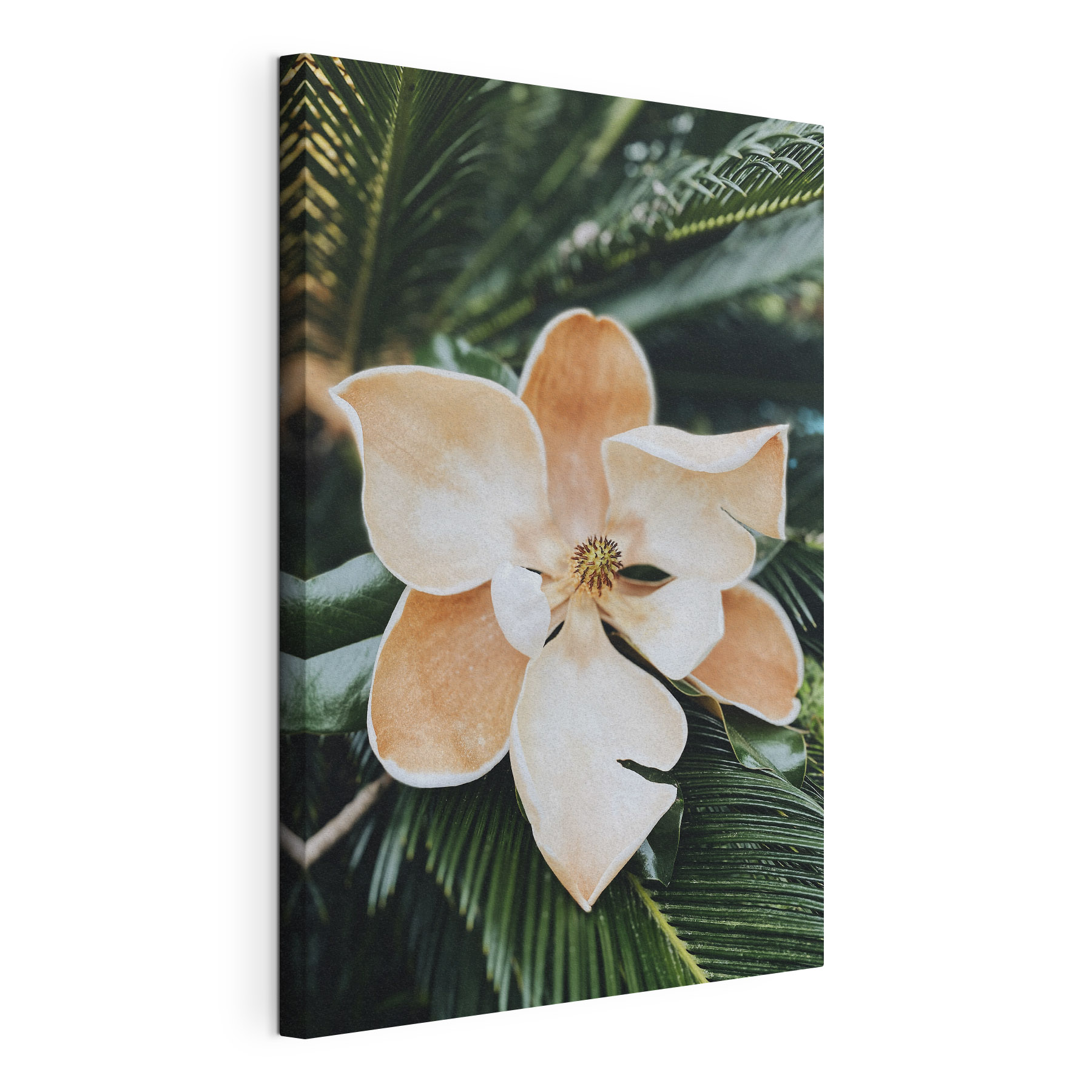 Tropical bloom in lush greenery Tropical bloom in lush greenery