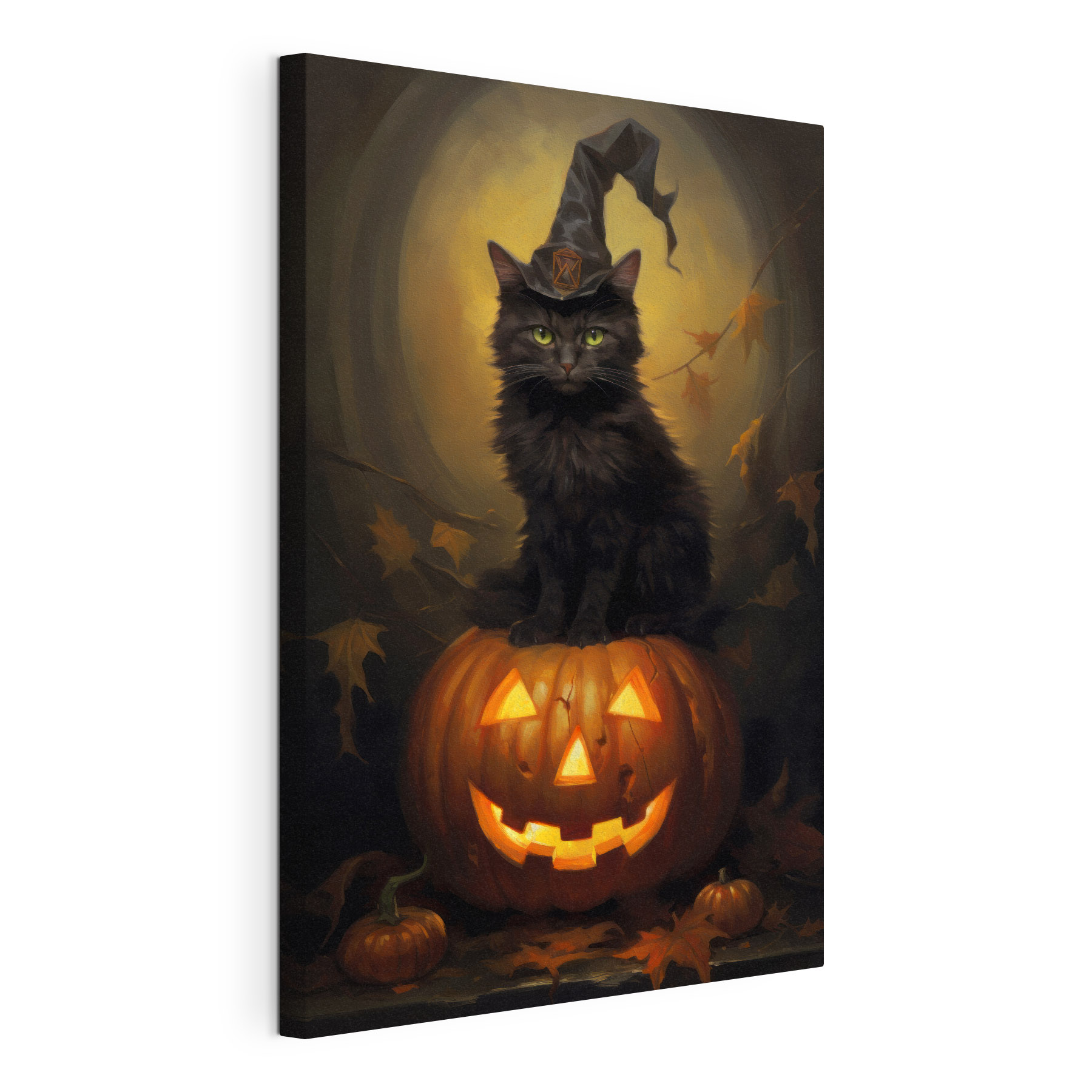 Cat sitting on a pumpkin Cat sitting on a pumpkin
