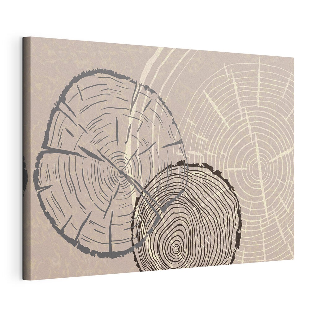 Time etched in wooden memories Time etched in wooden memories